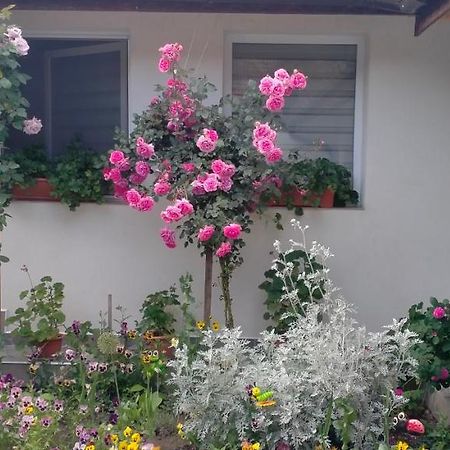 הוילה Ieşelniţa Casa Luminita מראה חיצוני תמונה
