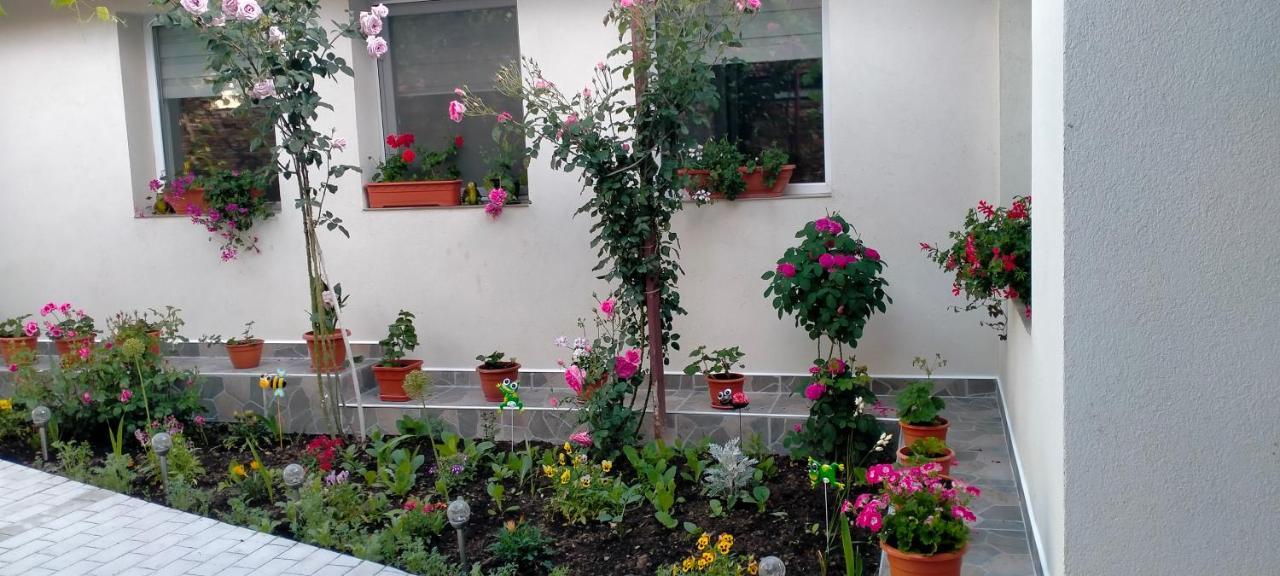 הוילה Ieşelniţa Casa Luminita מראה חיצוני תמונה
